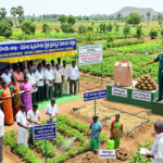 Agriculture Department Promotes Natural Farming
