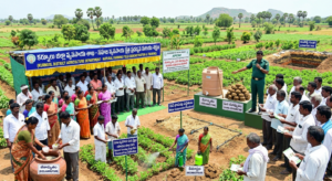 Agriculture Department Promotes Natural Farming