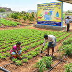 Micro-Irrigation Projects Benefit Farmers
