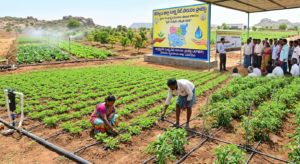 Micro-Irrigation Projects Benefit Farmers